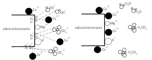 Schematische weergave van effect van toedienen kalkmeststof. Bron: Praktijkgids bemesting (NMI,2000). Schematische weergave van effect van toedienen kalkmeststof. Bron: Praktijkgids bemesting (NMI,2000).