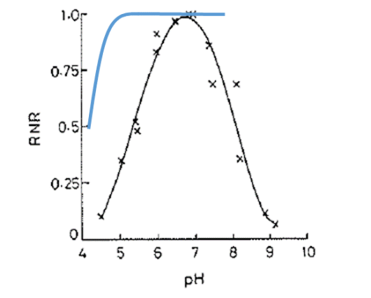Figuur 2: Schematische weergave van het effect van pH-water op relatieve mineralisatiesnelheid (blauwe lijn) en nitrificatiesnelheid (RNR; zwarte lijn)